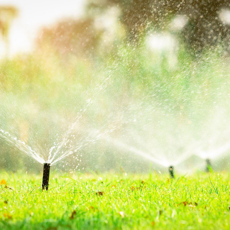 Irrigation Irrigation