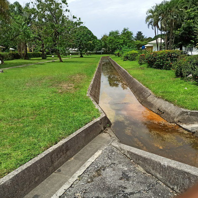 Drainage